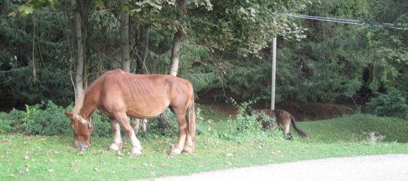 2غرفة بانتهاوس في Filettino, Italy رقم 251709 13