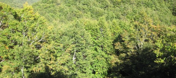 2غرفة بانتهاوس في Filettino, Italy رقم 251709 3