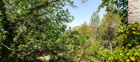 16 rooms Villa in Guidonia Montecelio, Italy No. 207830 26