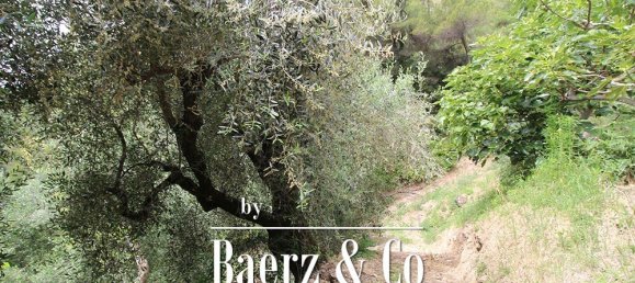 9 chambres Villa à Camporosso, Italy No. 230204 21