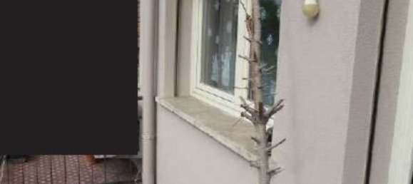 Квартира с 7 спальнями в Конельяно, Италия № 354950 6