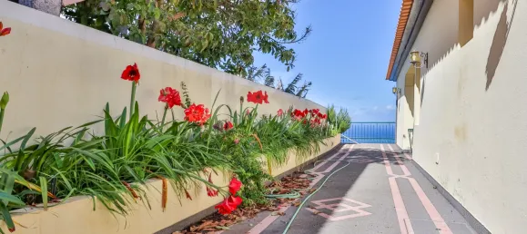 Casa de 4 dormitorios en Ribeira Brava, Portugal No. 178632 46