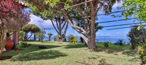 Casa de 4 dormitorios en Ribeira Brava, Portugal No. 178632 36