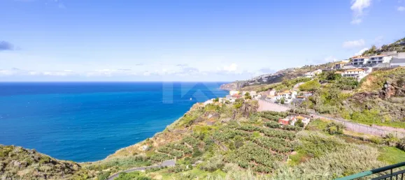Casa de 4 dormitorios en Ribeira Brava, Portugal No. 178632 48