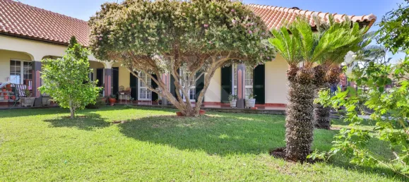 Casa de 4 dormitorios en Ribeira Brava, Portugal No. 178632 31