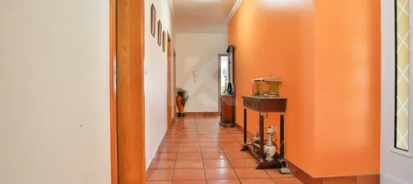 Casa de 4 dormitorios en Ribeira Brava, Portugal No. 178632 14