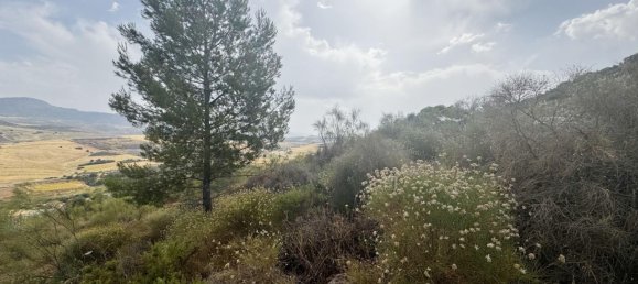 Terreno en Málaga, Spain 800 m² No. 179723 15