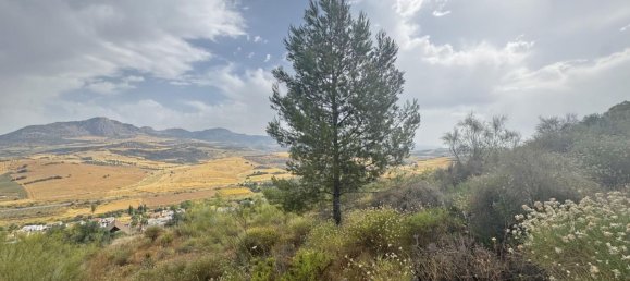 Terreno en Málaga, Spain 800 m² No. 179723 16