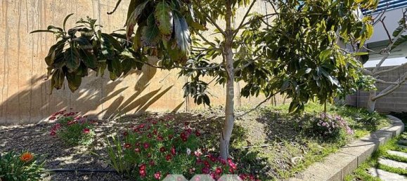 3 bedrooms Villa in El Penoncillo, Spain No. 111068 50