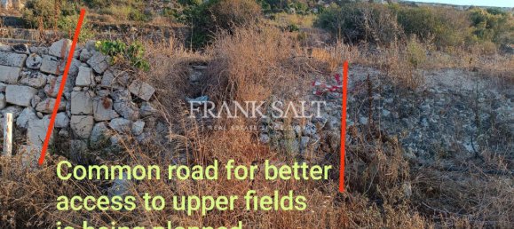 1139m² Land in Rabat, Malta No. 13481 4