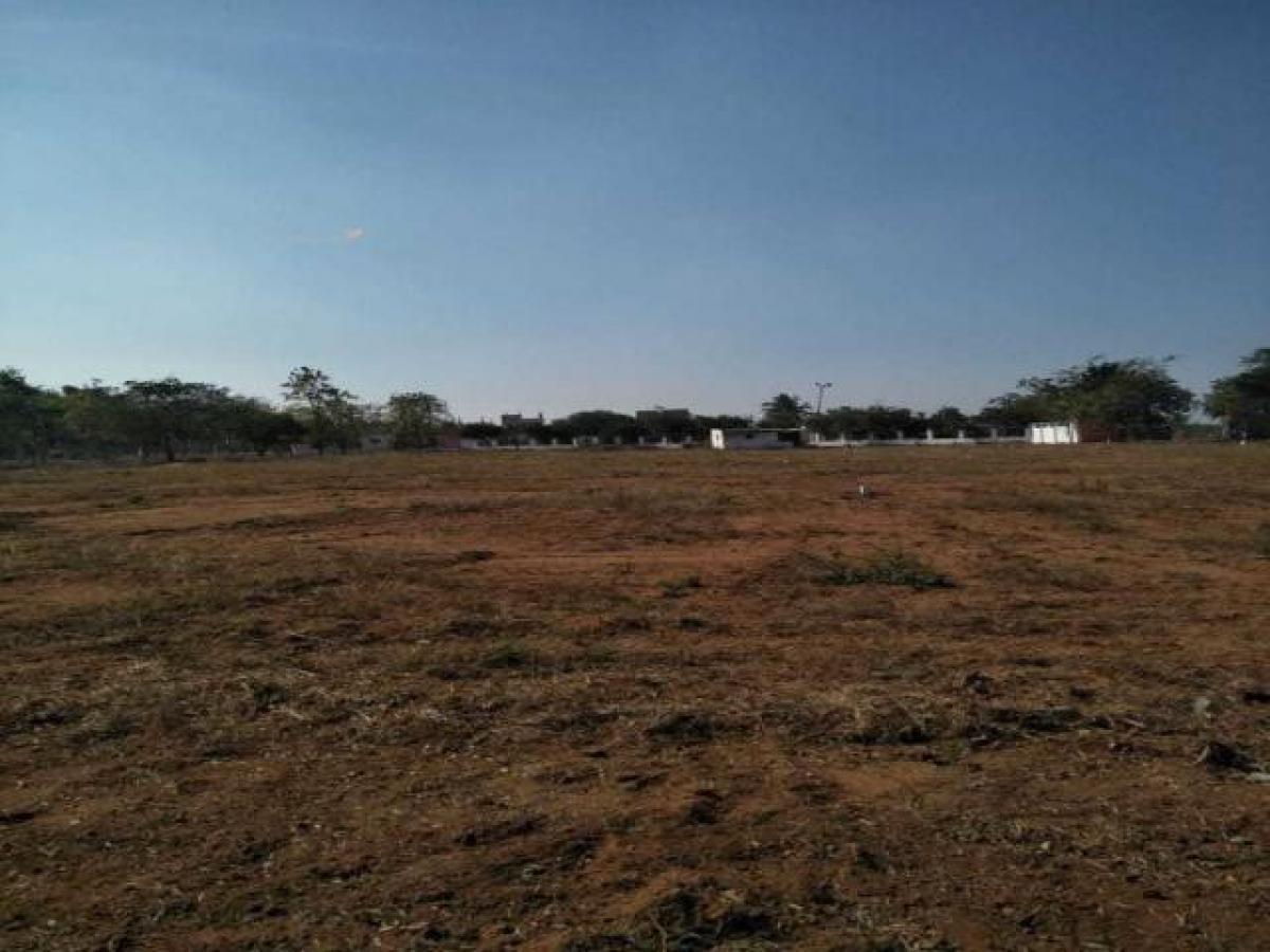  Land in Hyderabad, India No. 36066