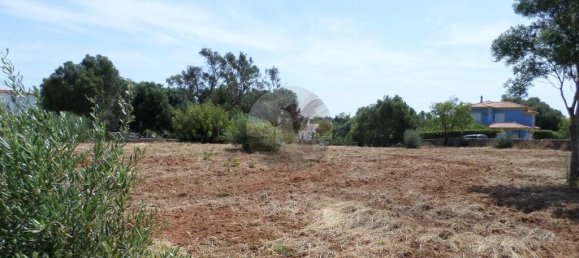 قطعة أرض في Almancil, Portugal 6467متر مربع رقم 145999 17