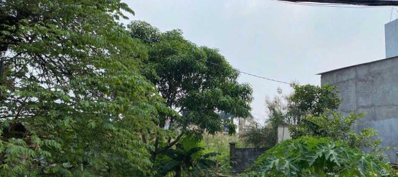 1490.93m² Land in Nha Be, Vietnam No. 20333 2