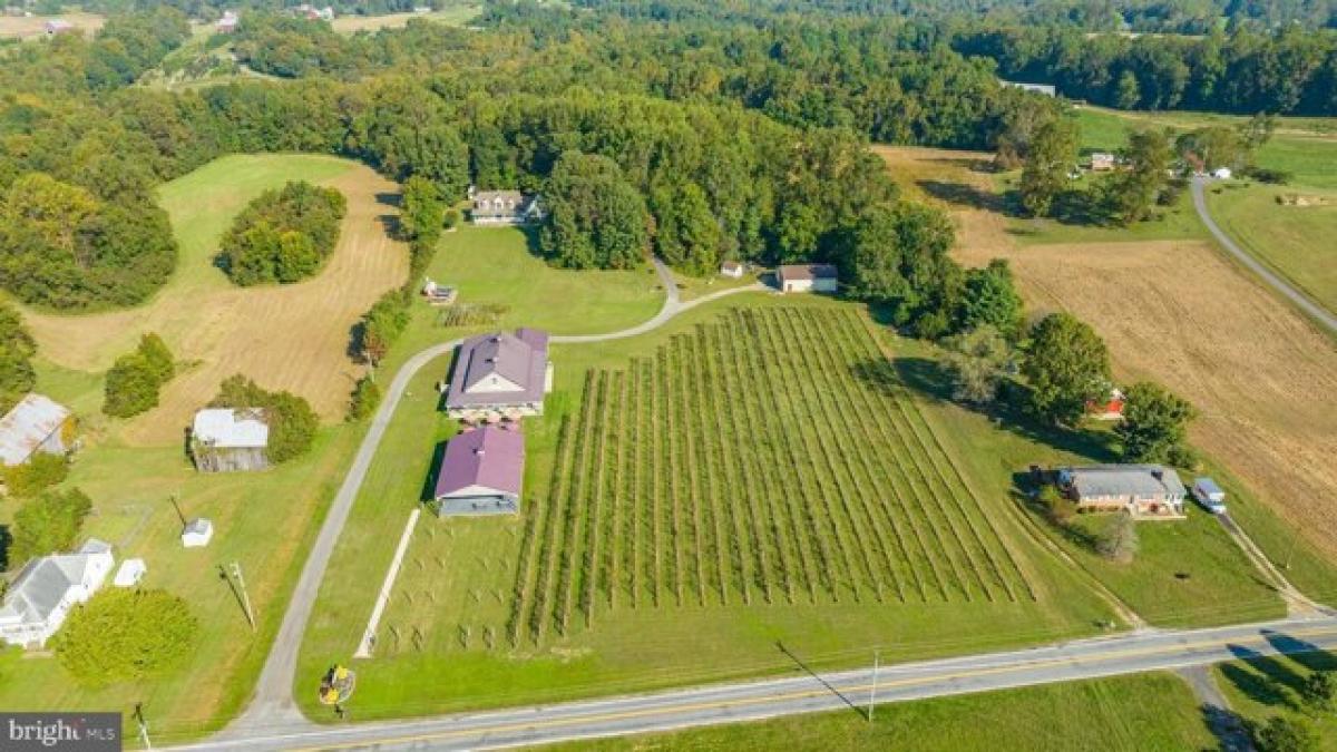 3 chambres Maison à Brandywine, USA No. 411617