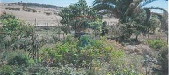 3 bedrooms House in Ourique, Portugal No. 47539 11