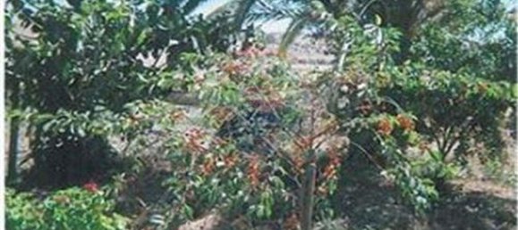 3 bedrooms House in Ourique, Portugal No. 47539 45