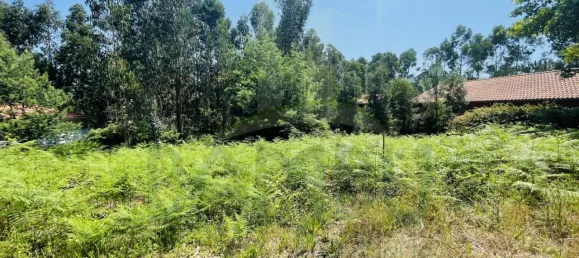  Land in Caminha, Portugal No. 54874 7