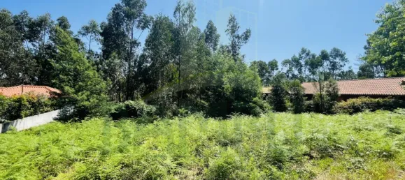  Land in Caminha, Portugal No. 54874 4