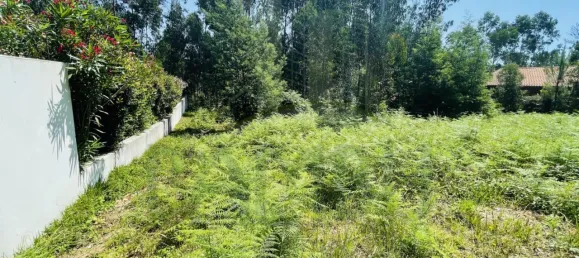  Land in Caminha, Portugal No. 54874 8