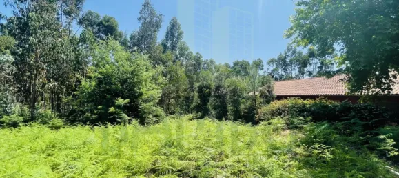  Land in Caminha, Portugal No. 54874 3