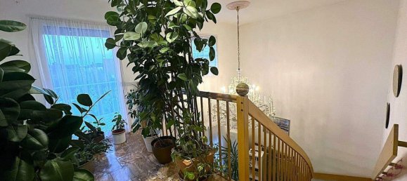 9 rooms House in Deutsch-Wagram, Austria No. 248228 7