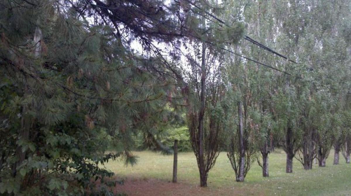  Land in Pilar, Argentina No. 45365