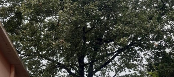 6 rooms Villa in Rignano Flaminio, Italy No. 10611 27