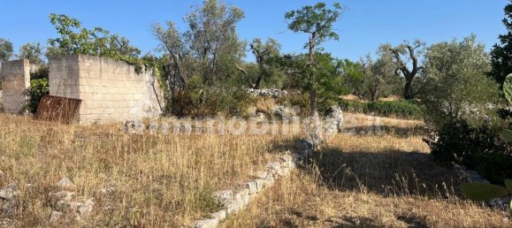 2 rooms House in Ostuni, Italy No. 339386 11