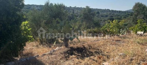 2 rooms House in Ostuni, Italy No. 339386 2