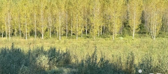 Terreno em Artiguelouve, France 1865 m² N.º 94538 2