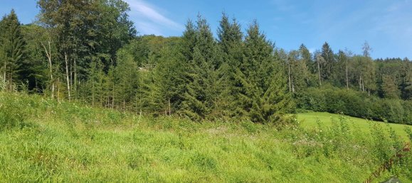 1297m² Land in Eschenau, Austria No. 216622 3