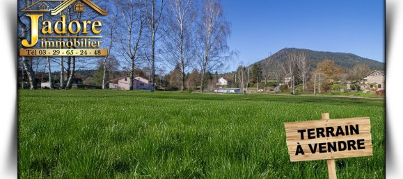 Terrain à Saulcy-sur-Meurthe, France 8882m² No. 112136 2