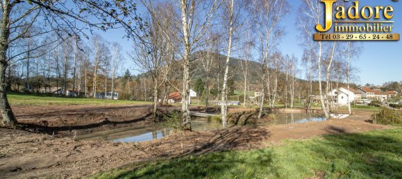 Terrain à Saulcy-sur-Meurthe, France 8882m² No. 112136 3