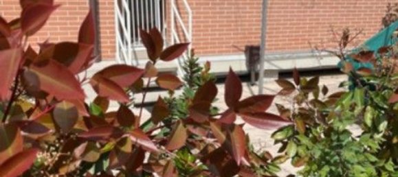 7 bedrooms Apartment in Imola, Italy No. 381508 4