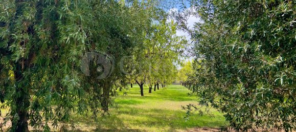 3غرفة منزل في Avola, Italy رقم 316969 14