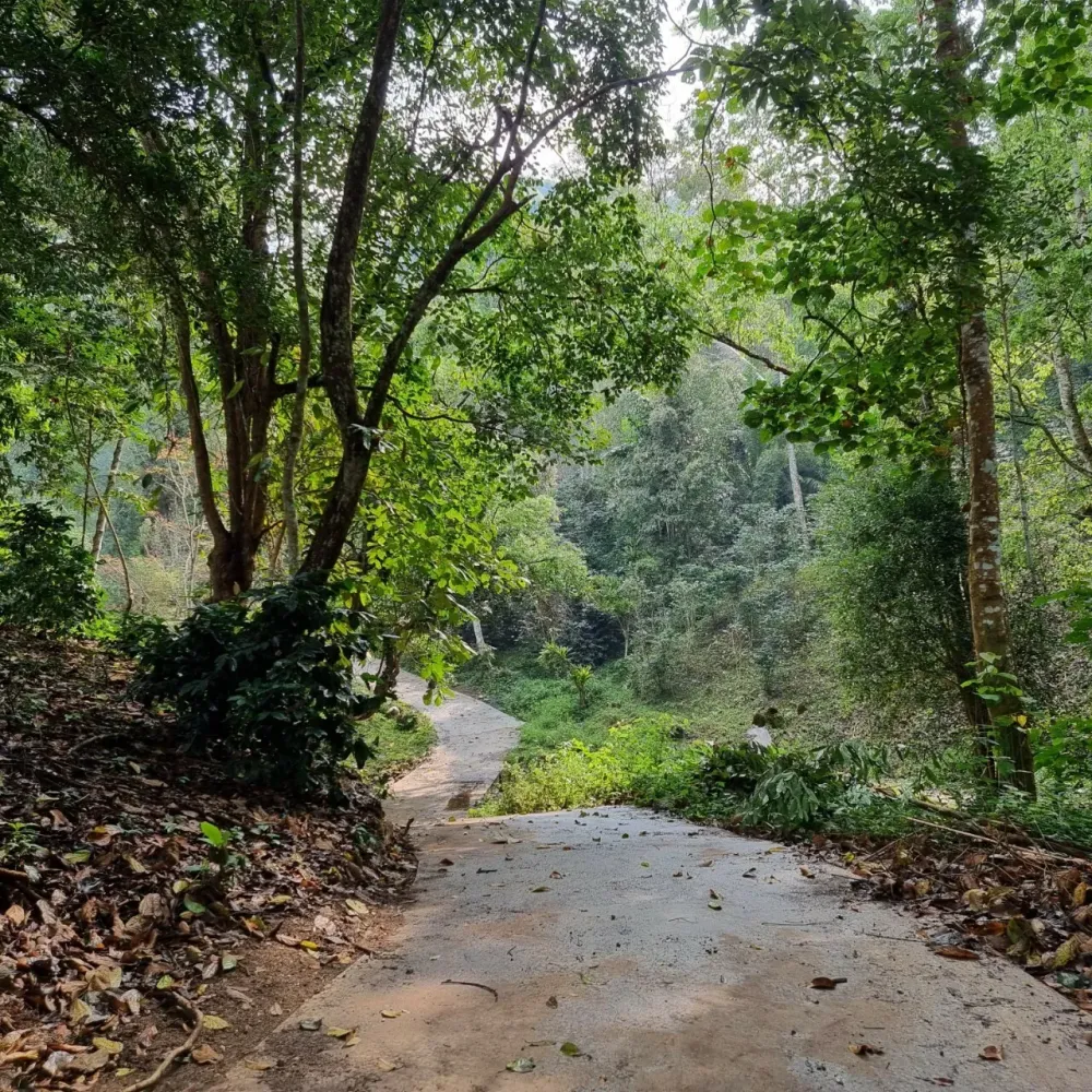 Земельный участок 400404м² в Мае Он, Таиланд № 65296