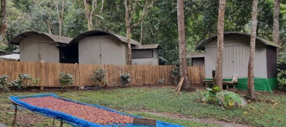 Земельный участок 400404м² в Мае Он, Таиланд № 65296 6