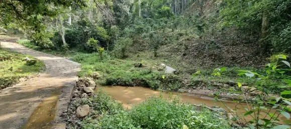 Земельный участок 400404м² в Мае Он, Таиланд № 65296 2