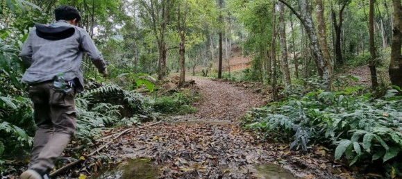 Земельный участок 400404м² в Мае Он, Таиланд № 65296 4