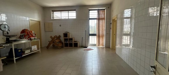 7 bedrooms House in San Martino di Venezze, Italy No. 325356 15