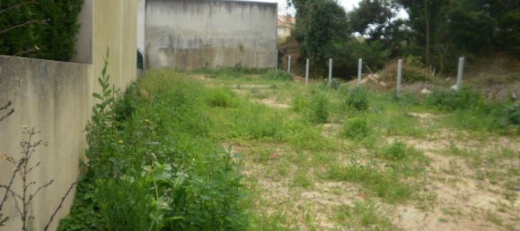 441m² Land in Arcozelo, Portugal No. 60027 3