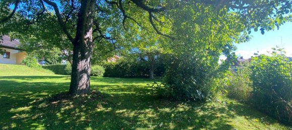 Land in Feldkirch, Austria No. 136019 5