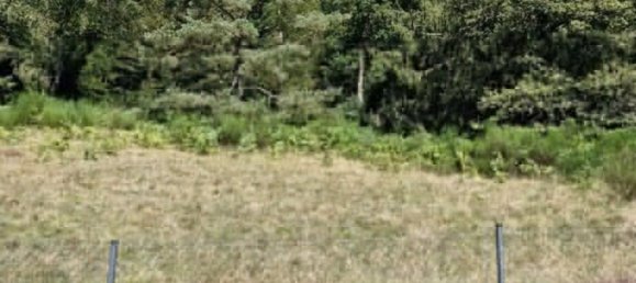 Grundstück in Le Tholy, France, Nr. 254180 7