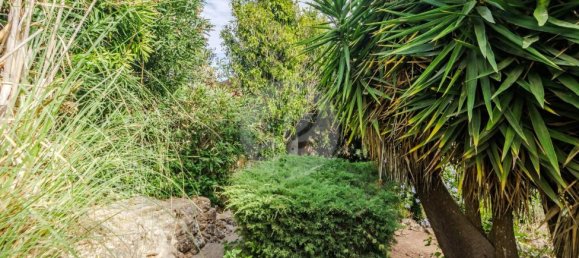 3 Schlafzimmer Villa in Luz, Portugal, Nr. 98477 30