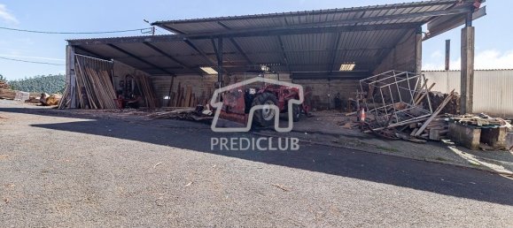 3 Schlafzimmer Grundstück in Camacha, Portugal, Nr. 98913 2