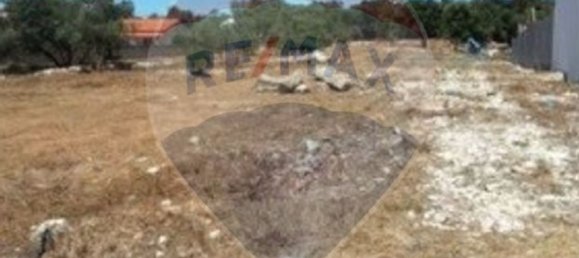 1000m² Land in Turquel, Portugal No. 63054 3