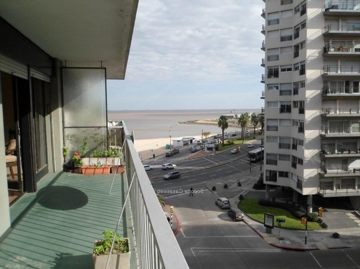 2 bedrooms Apartment in Montevideo, Uruguay No. 6854