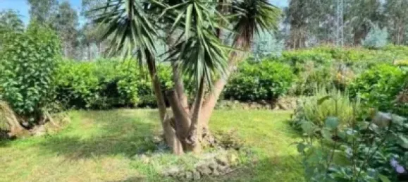 8 bedrooms House in Cantabria, Spain No. 142480 23