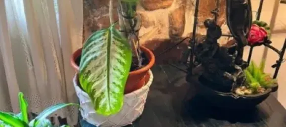 8 bedrooms House in Cantabria, Spain No. 142480 11