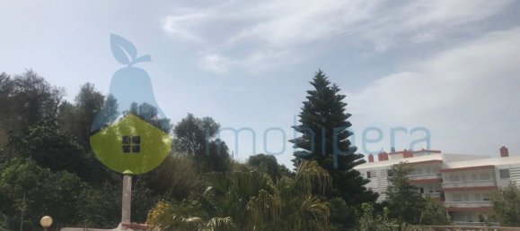 3 bedrooms House in Sao Bartolomeu de Messines, Portugal No. 110061 7